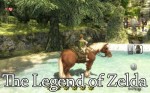 The Legend of Zelda new