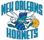 New Orleans Hornets 2002 - 2007 logo